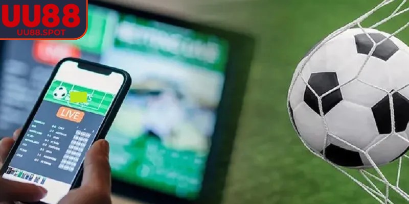 Lý do kèo 1/2 đang trở nên hấp dẫn ngày nay