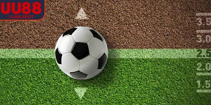 Tìm hiểu về kèo handicap UU88