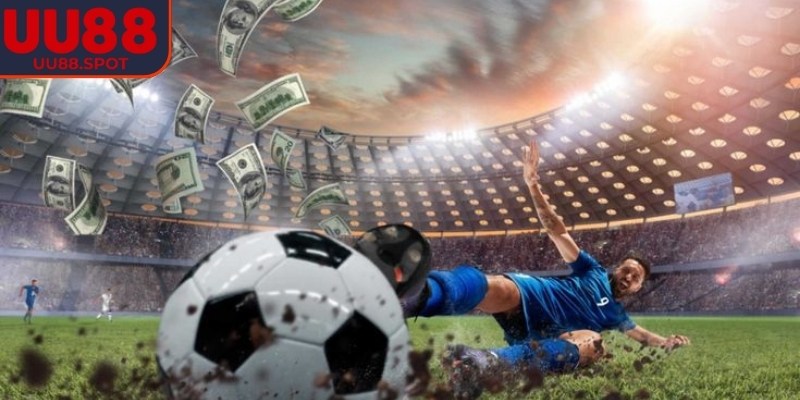 Việc hiểu rõ từng loại giúp quá trình theo dõi trận đấu trở nên hiệu quả hơn