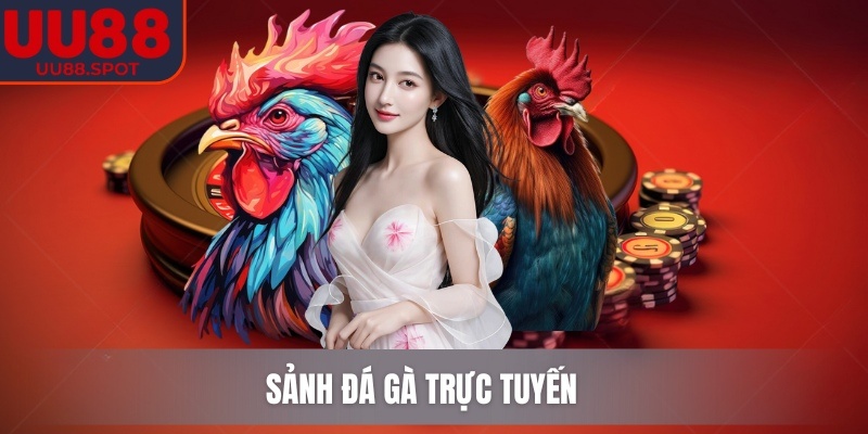 UU88 | UU 88 | Link Vào Nhà Cái UU88.COM Không Bị Chặn 12/2025 28 Sảnh Đá Gà trực tuyến